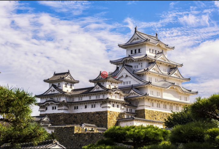 日本兵库县姬路市的房产,野里851番地,编号49525864