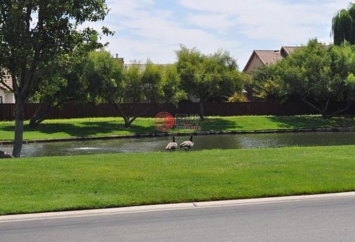 美国加州克洛维斯4卧3卫的房产